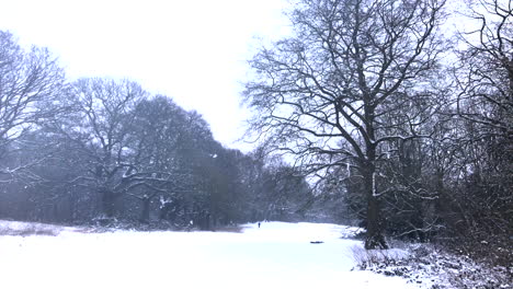 In-the-distance-a-man-walks-through-a-Snowy-Scene-in-the-Woods