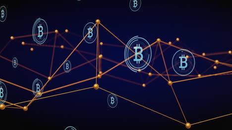 animation of network of connections over bitcoins