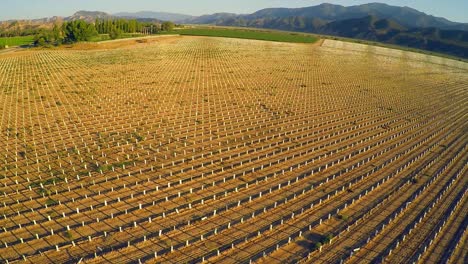 Una-Hermosa-Antena-Sobre-Campos-Agrícolas-En-California