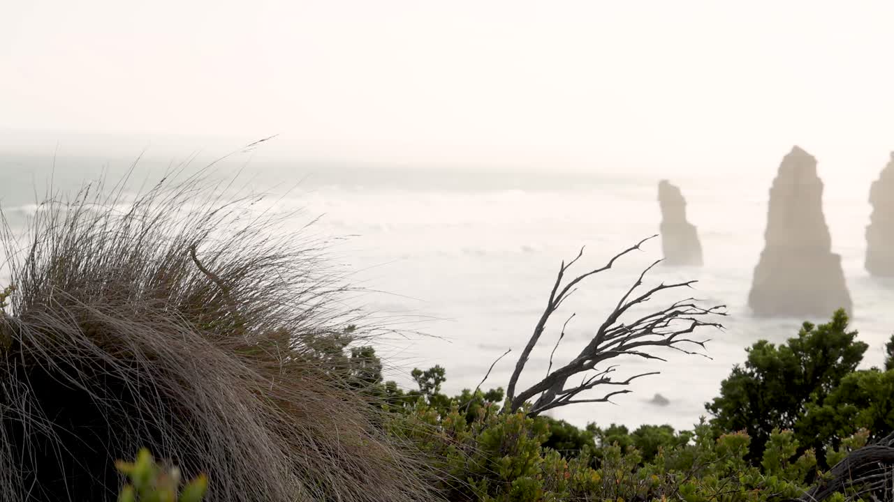 파도가 상징적인 석회암 어리에 부히고