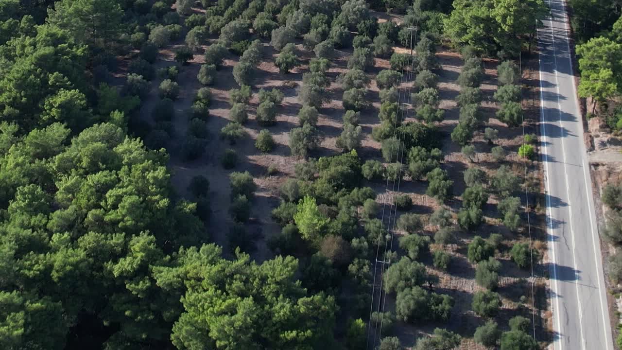 Scenic aerial view of lush green landscape and winding road in Greece