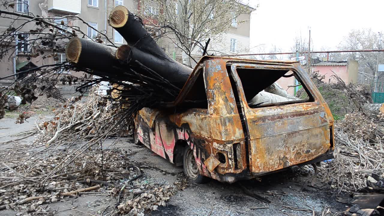 L'auto distrutta. L'albero che ha distrutto l'auto