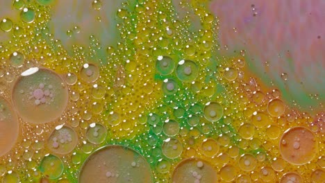 burbujas flotan en pintura líquida, mezclando tinta, aceite y leche, pintura hipnótica multicolor abstracta