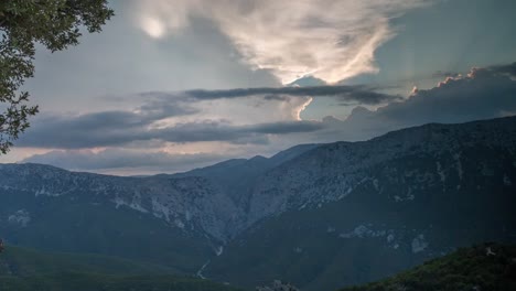 Cerdeña-árbol-Atardecer-4k-01