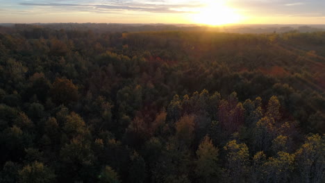 aerial: tilting up towards the horizon were the sun sets over a forest in the fall