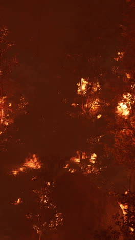 forest fire at night