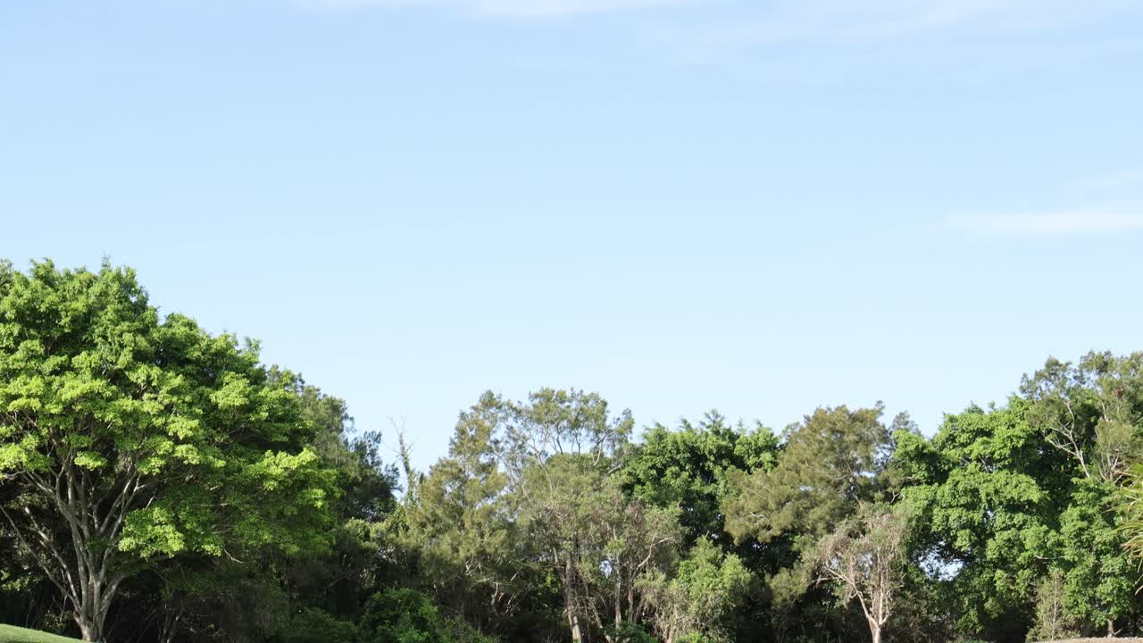 숲의 변화를 보여주는 일련의 이미지