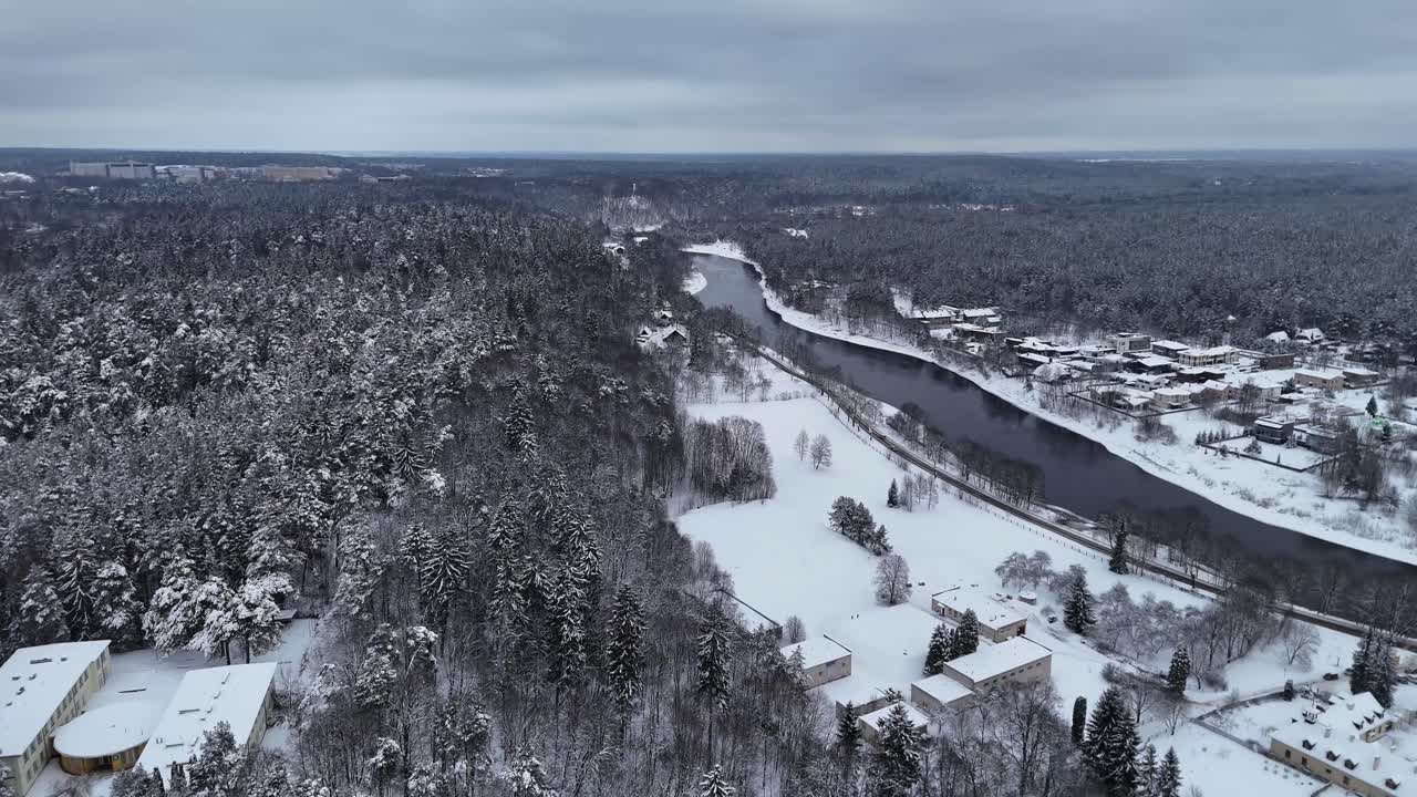 겨울철에 눈 인 숲 위를 드론으로 날아다니는 것