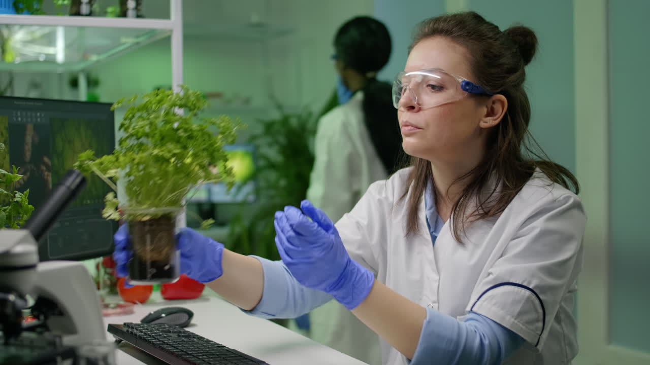 Botanist researcher woman examining green sapling observing genetic mutation
