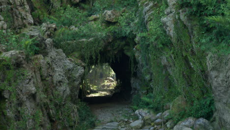 overgrown cave entrance in a lush forest