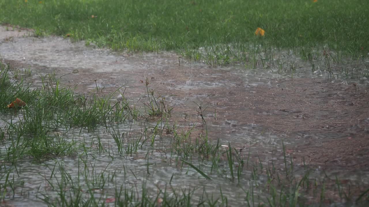 día lluvioso en el camino