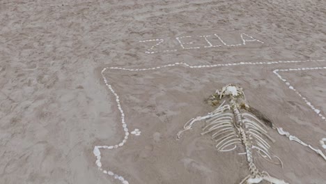 沙灘上的訊息 (message on sandy beach) 來自納米比亞骨架海岸 (namibia's skeleton coast) 的一個沉船