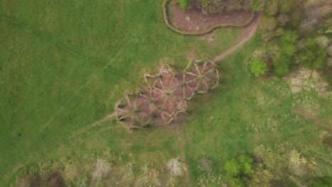 4K-willow-cathedral-live-sculpture-made-of-willow-trees-in-Taunton-Somerset,-60fps-drone-moving-up-over-the-tree-cathedral