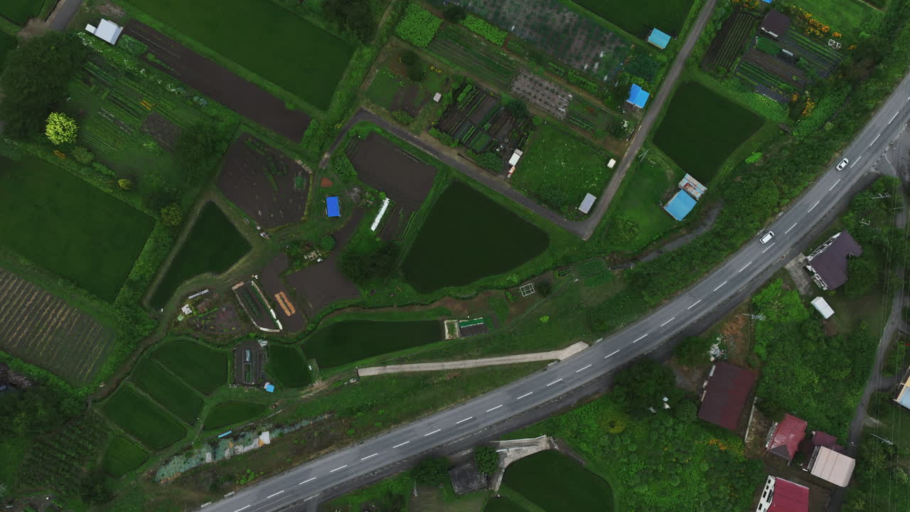 일본 나가노의 도로와 과 플랜테이션 위에서  다운 드론 촬영