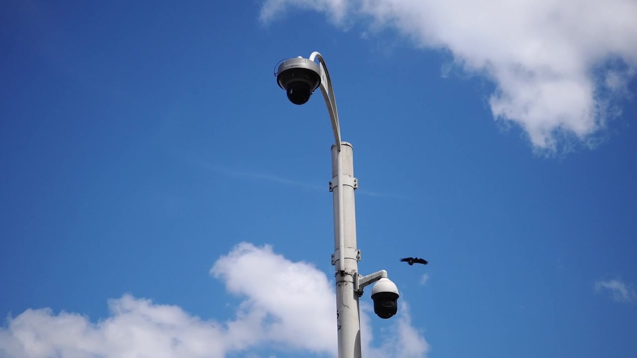 Due telecamere di sorveglianza su un palo, contro un cielo blu con un uccello in volo.