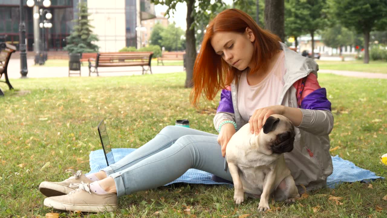 Girl combing her pug out in a park