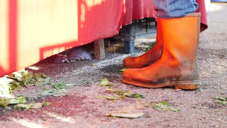 orange rubber boots at a farmer's market