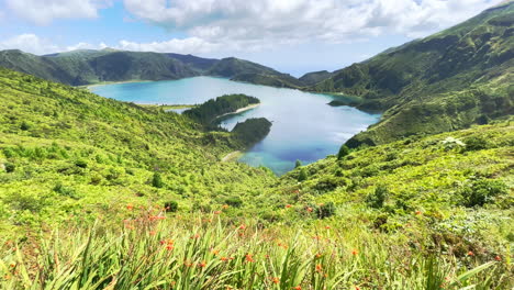 阿佐爾群島 (azores) 的美麗植物景觀,以及石坑湖 (crater lake) 的全景