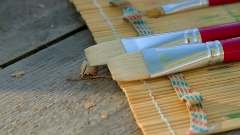 paintbrushes on a bamboo pad