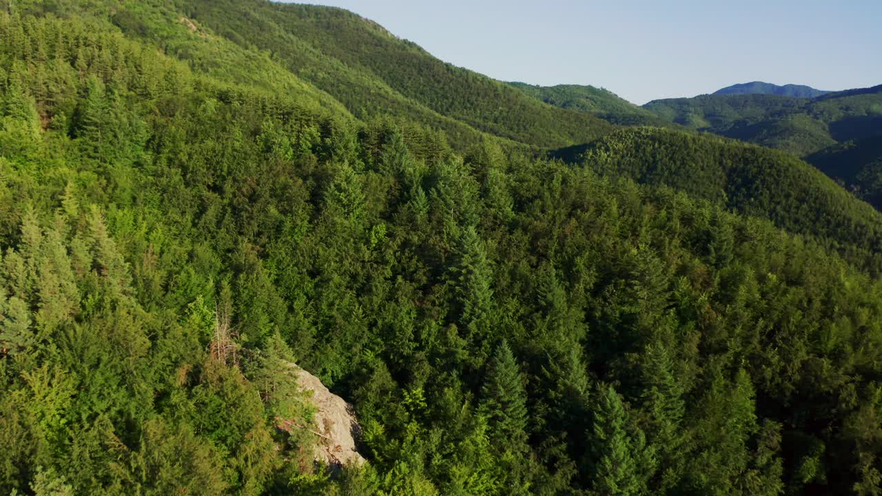 drone de tirolesa disparado sobre el exuberante bosque de eagle's rock o más comúnmente conocido entre los lugareños como orlovi skali en las montañas rodope en bulgaria