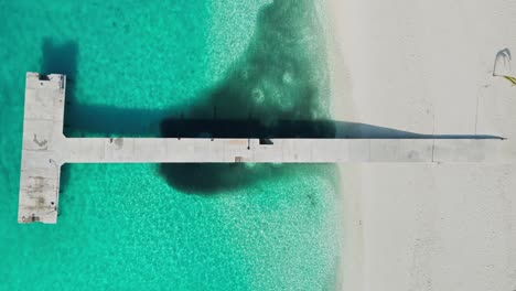 fish shoaling under beach jetty in clear blue water, maldives