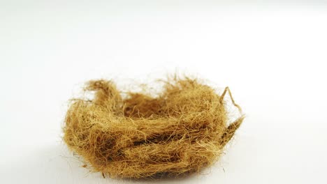 Close-up-of-nest