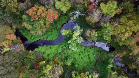 A-top-down-aerial-view-over-a-still-stream-in-Westchester,-NY-during-a-beautiful-day