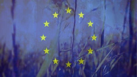 European-flag-with-peaceful-cornfield-in-the-background