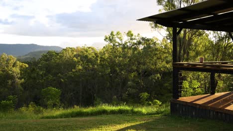 time-lapse of a viewing platform in the forest