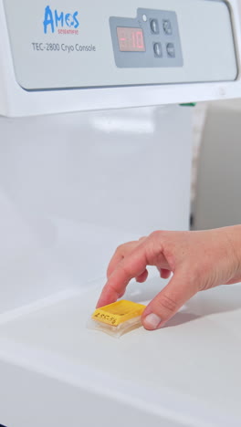 sample specimen collection process. hand of geneticist technician holding tube with biological sample. vertical video