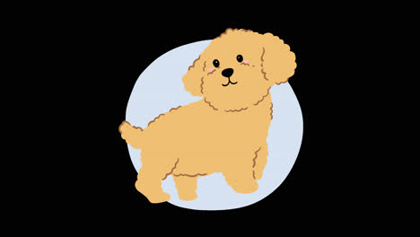 cute cartoon poodle