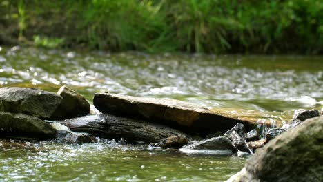 Nature-stream-babbling-brook-with-audio