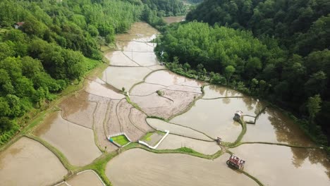 green landscape of forest mountain valley rice agriculture farm paddy field in gilan rasht iran traditional local people farmer life patterns water pond growth fresh organic healthy material in farm