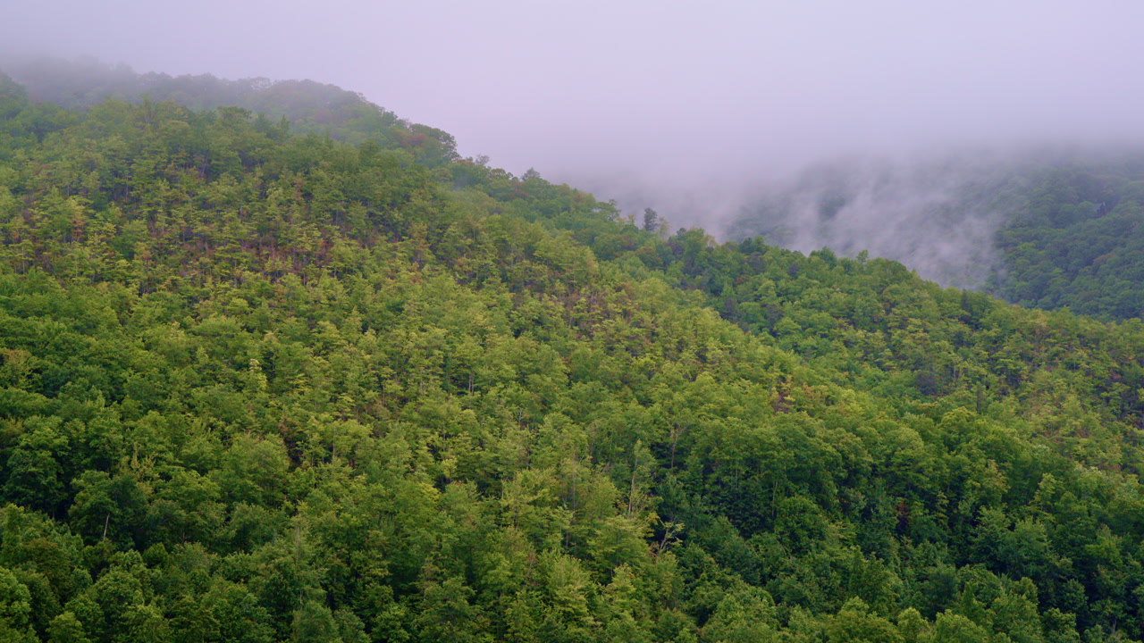Aerial cinematic drone floating over fog-bound peaks.