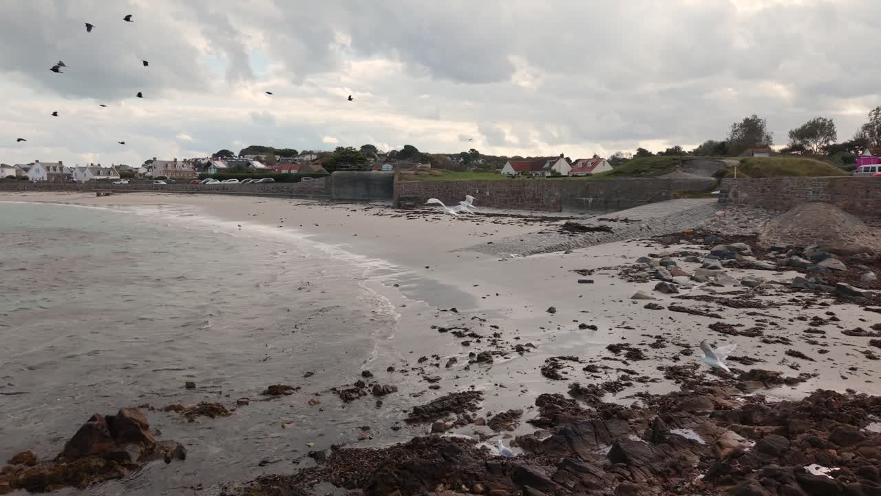 Seabirds taking flight and flying past from rocky foreshore of golden beach at mid tide with gentle lapping waves on bright but cloudy day with interesting sky