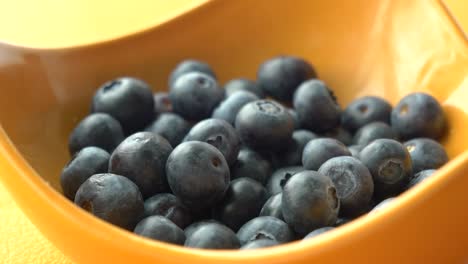 hand picking blueberries from bowl