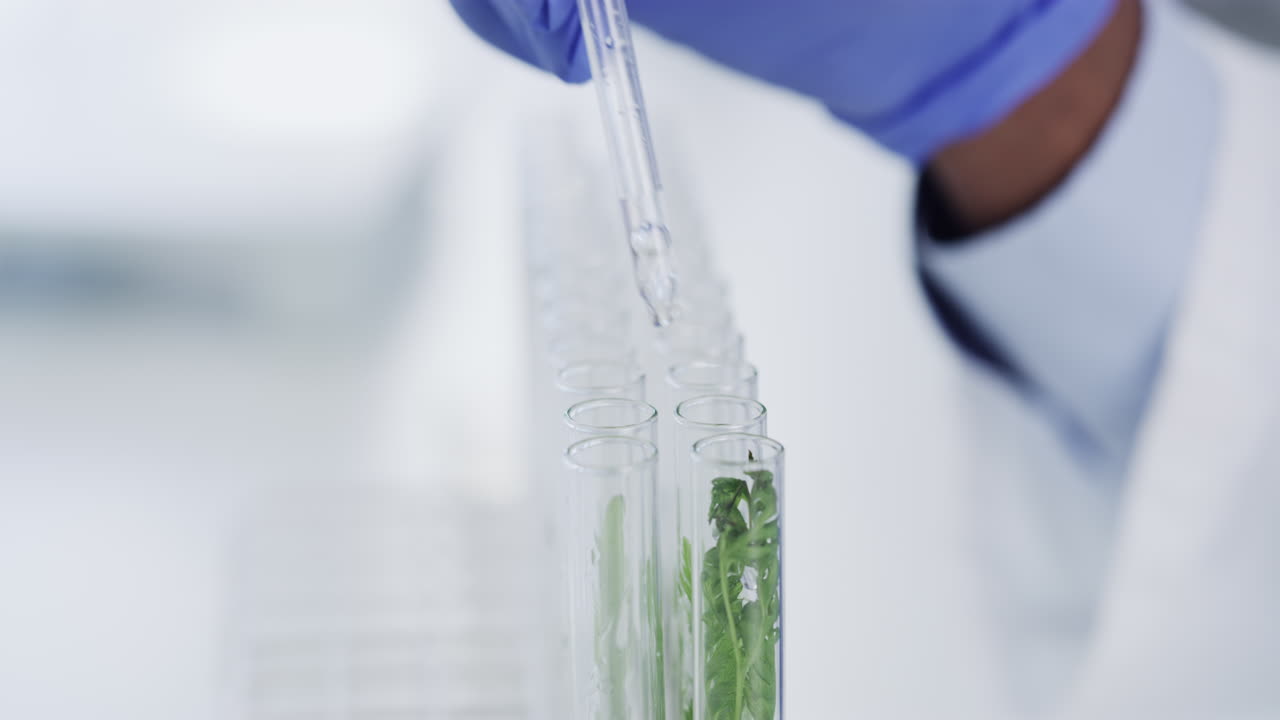 con la esperanza de grandes resultados