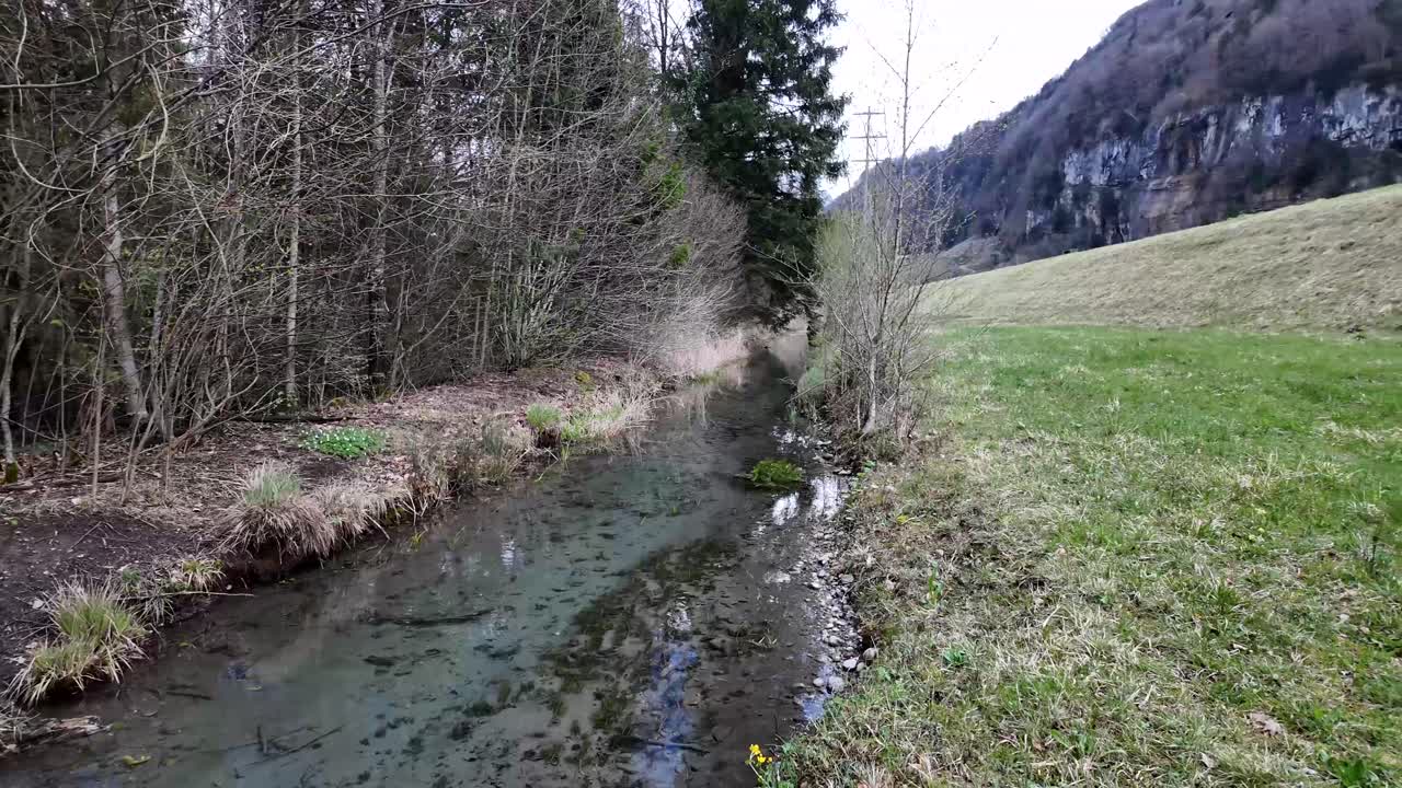 Fiume nella foresta con acqua limpida vicino alle montagne nella natura