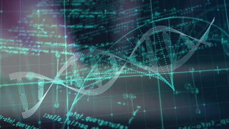 Animación-De-Cadena-De-ADN-Y-Procesamiento-De-Datos-Científicos-Sobre-Fondo-De-Cuadrícula