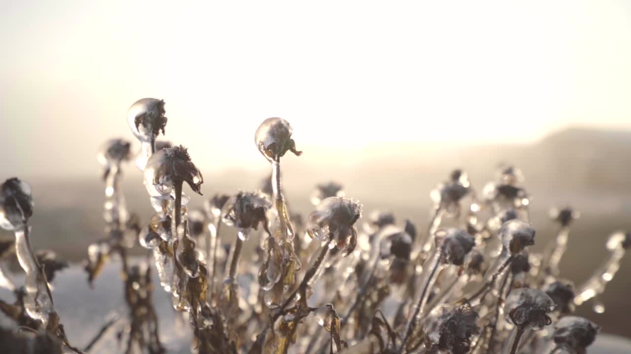 A cold January morning along with some winter precipitation and a bright sunrise make for some interesting details.