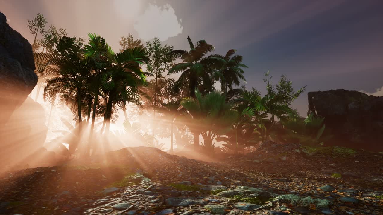 ⁇ 나무 를 가로지르는 해 가 지는 광선