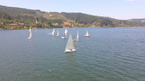 aerial - sailboats during a regatta in lake vichuquen, chile, static wide shot