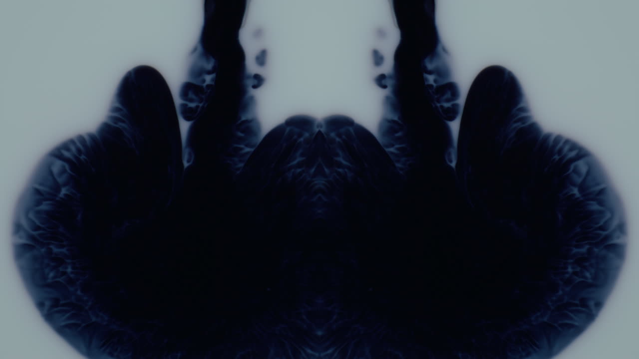 Abstract Ink Blot Symmetry