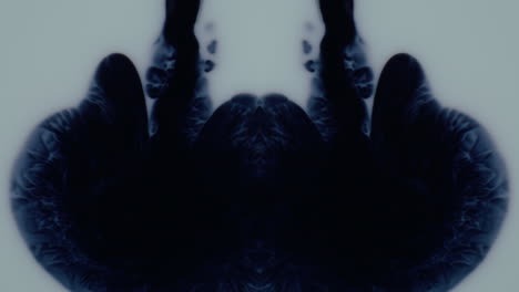 abstract ink blot symmetry