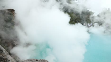 forest with a natural pool of hot springs