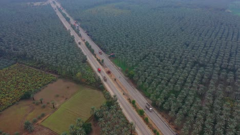 Majestic-shot-at-the-entrance-of-khairpur-sindh-Pakistan-,-with-a-view-of-the-coconut-trees,-beautifulfield-next-to-it,-cars-passing-in-the-street,-beautiful-journey