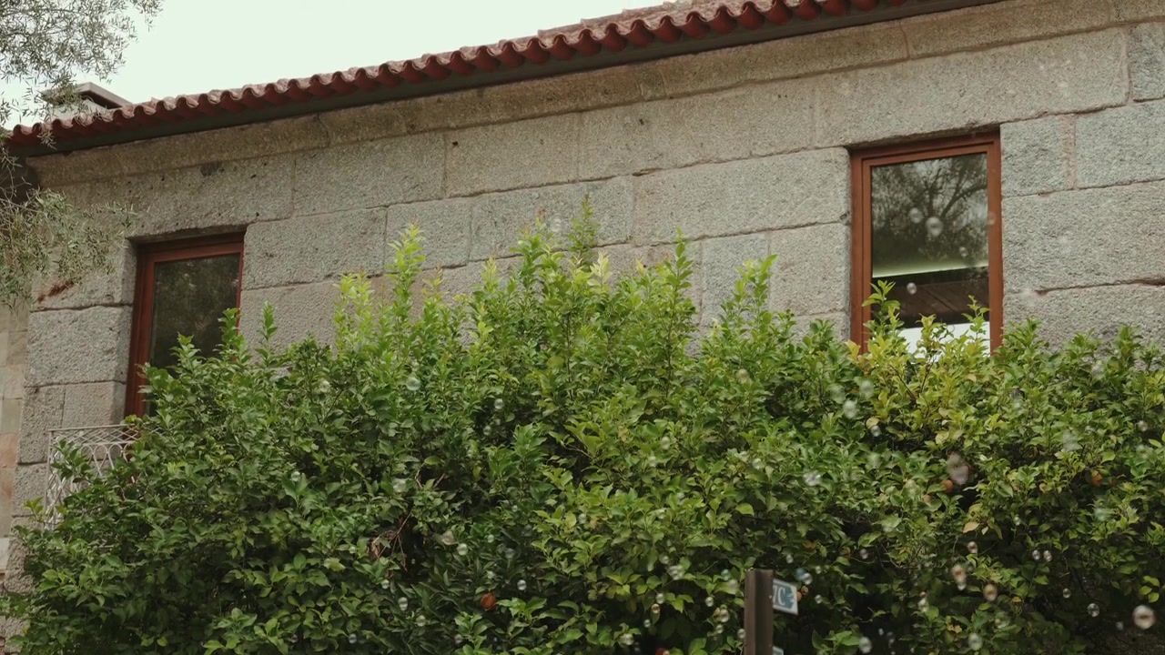 Molte delicate bolle di sapone che fluttuano tra il fogliame verde davanti a un tradizionale edificio in pietra con finestre e tetto di tegole