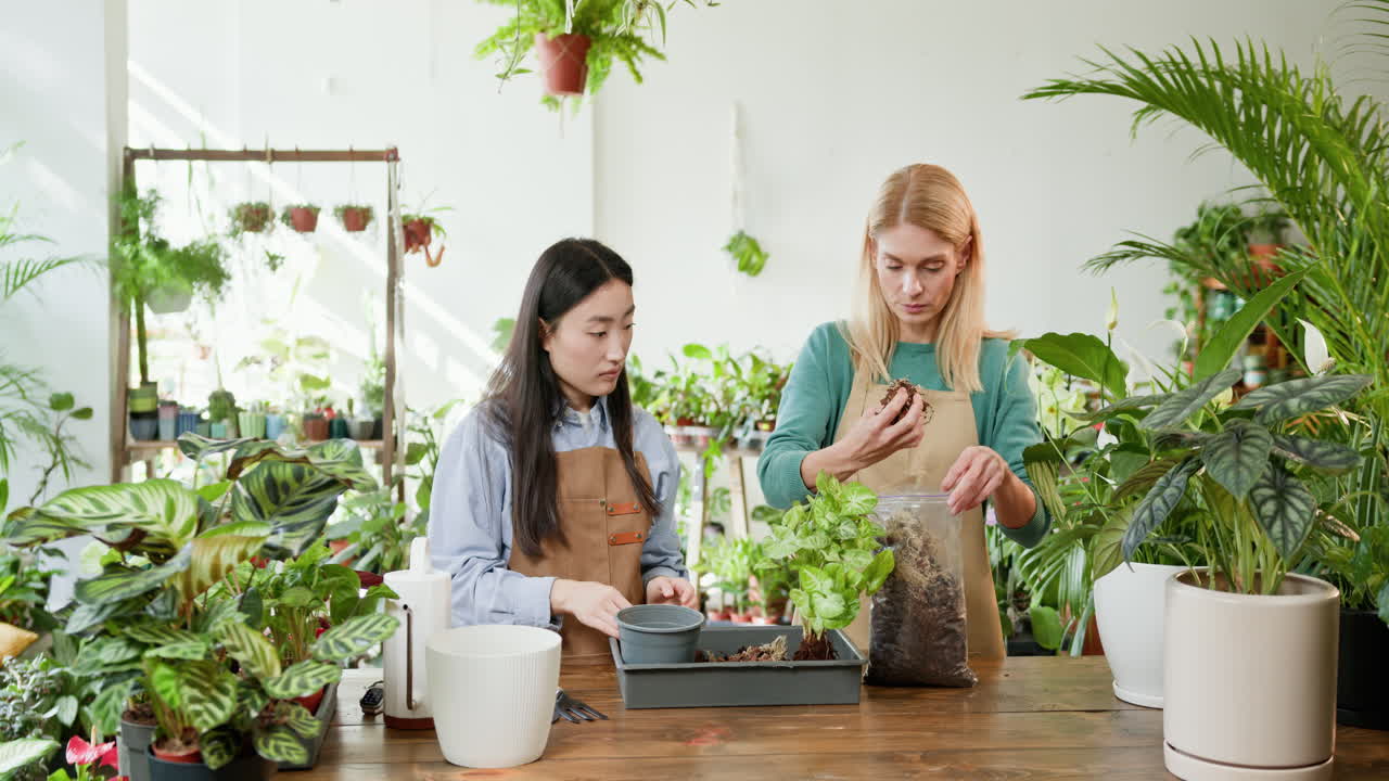 두 명의 여성이 식물 가게에서 식물을 재배하고 있습니다.