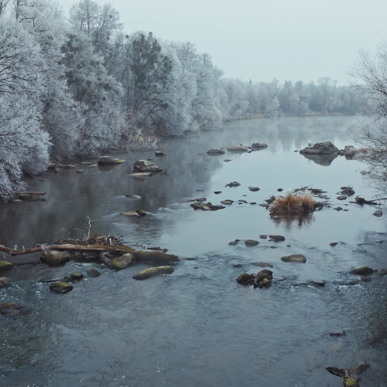 Drone flight over the river in winter. Beautiful nature landscape of the long river and white trees at both sides.