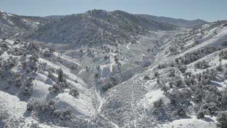 mountain valley aerial with pine trees, trails and fresh snow